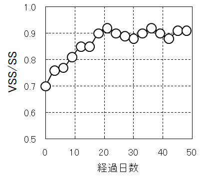 VSS_SS