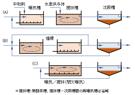 biol-nitrogen-removal(1)