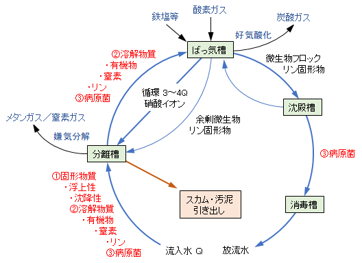 jyokaso_purification-model