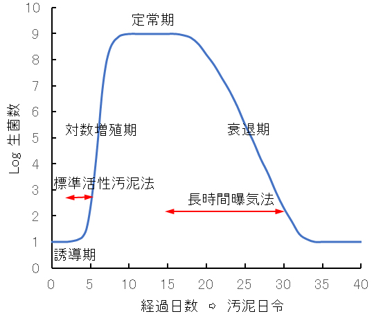 bacterial_growth-rate_ life