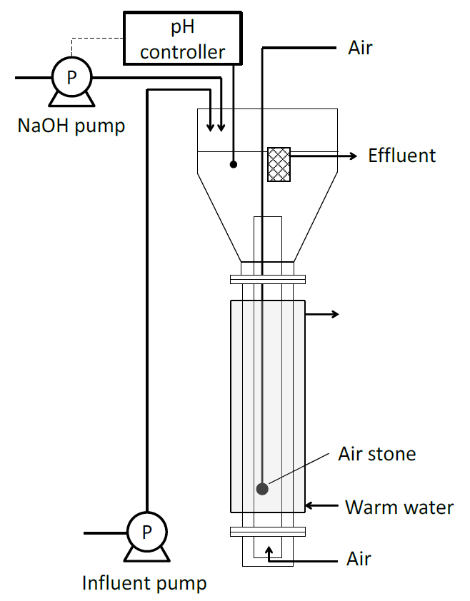 PN-anammox-reactor