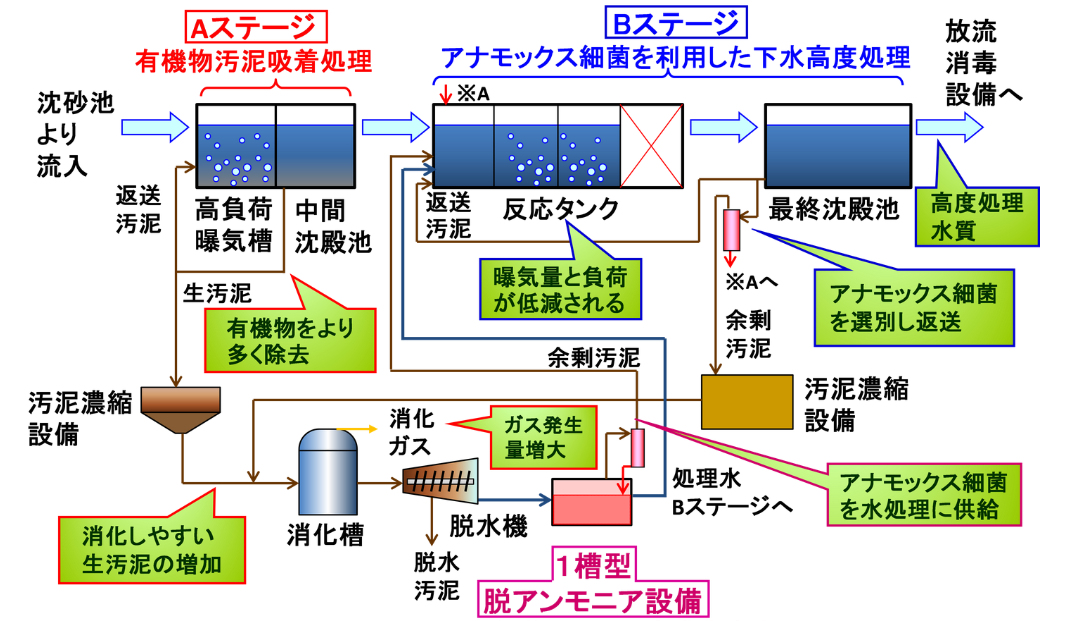 one-reactor-anammox