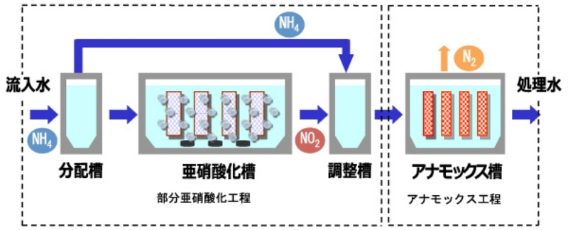 two-reactors-anammox