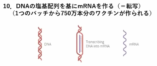 miyasaka-jnpc-10