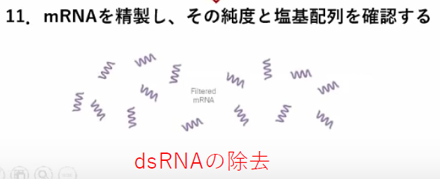 miyasaka-jnpc-11