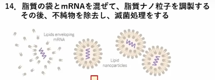 miyasaka-jnpc-14