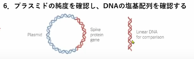 miyasaka-jnpc-6