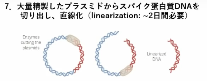 miyasaka-jnpc-7