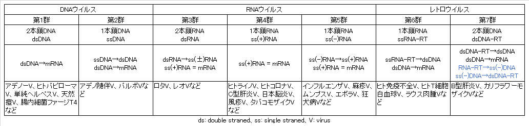 virus-classification-by-genome